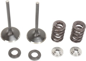 Stainless Intake Valve and Spring Kit - For Honda TRX450R CRF450R