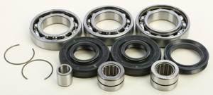 Differential Bearing & Seal Kit