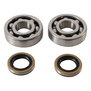 Hot Rods Bearing/Seal Kit Kx125 80-81