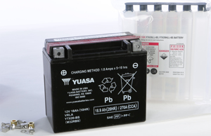 AGM Maintenance Free Battery YTX20-BS