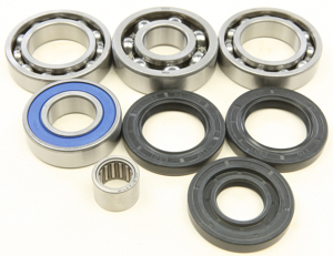 Rear Differential Bearing & Seal Kit - For 02-06 Arctic Cat