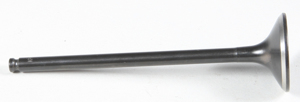 Black Diamond Exhaust Valve