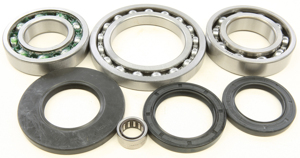 Rear Differential Bearing & Seal Kit