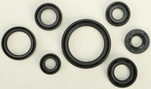 Oil Seal Kit - For DRZ400 E/S/SM & KLX400