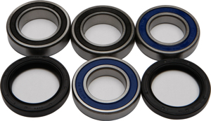 Wheel Bearing & Seal Kit - For 1985 ATC250ES/SX