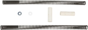 Fork Spring Kit