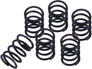 Clutch Spring Kits - Honda Clutch Springs