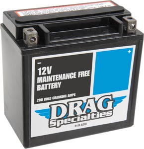 YTX AGM Maintenance Free Battery 200CCA 12V 12Ah - Replaces YTX14L-BS