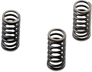 CSK Coil & Diaphragm Spring Kit - For 2018 Harley Davidson DYNA FLDE 1YCJ Deluxe (1690cc)