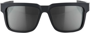 Type-S Sunglasses Black w/ Gray Lens