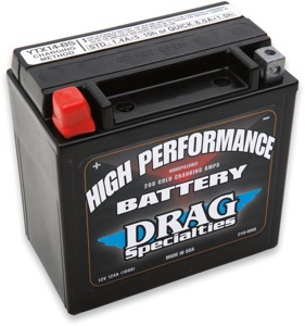 YTX AGM Maintenance Free Battery 200CCA 12V 12Ah Factory Activated - Replaces YTX14