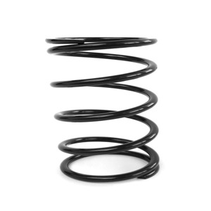 EPI Primary Clutch Spring - Tan