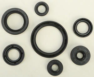 Oil Seal Kit