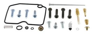 Carburetor Rebuild Kit