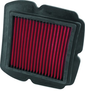 BikeMaster Suzuki SV1000/S Air Filter