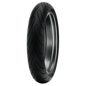 120/70ZR17 Front Roadsmart IV Sport Touring Tire