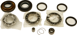 Differential Bearing & Seal Kit - For 01-18 Honda TRX250X/EX/TE/TM