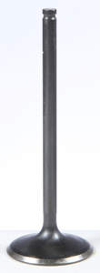 Black Diamond Intake Valve