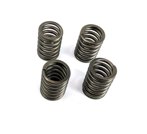 CSK Series Clutch Springs +15%