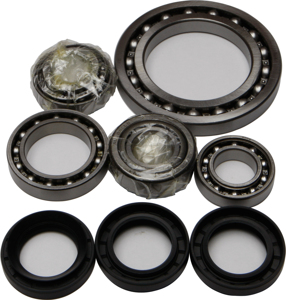 Rear Differential Bearing & Seal Kit