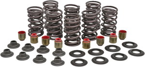 Precision Valve Springs Kits-Lit Racing