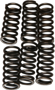 CSK Series Clutch Springs +15%