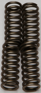 CSK Series Clutch Springs +15%