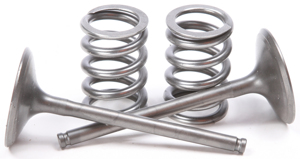 Steel Intake Valve/Spring Kit - For 2007 Suzuki RMZ450