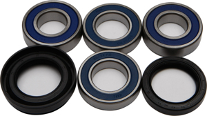 Wheel Bearing & Seal Kit