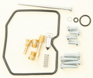 Carburetor Repair Kit - For 03-04 AC 400