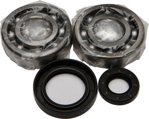 All Balls Racing Crankshaft Bearing Kit