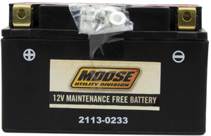 YTZ AGM Maintenance Free Battery 190CCA 12V 8.6Ah - Replaces YTZ10S