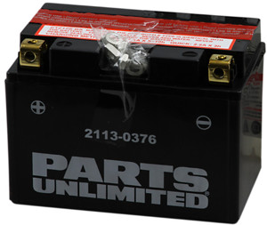 AGM Maintenance Free Battery 210CCA 12V 11Ah - Replaces YTZ12S