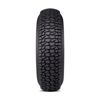 Regulator 2 All Terrain Tire 30x10 R14