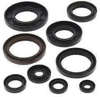 QuadBoss Qb Oil Seal Set