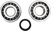 Crankshaft Bearing & Seal Kit - For 07-09 RMZ250