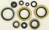 Oil Seal Kit - For 89-94 Kawasaki KDX200