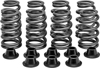 Racing Valve Spring Kit - For 2014 Polaris RZR XP 1000