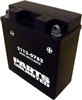 Conventional Battery 12V 5Ah Factory Activated - Replaces YB5LB