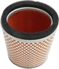 Air Filter - Replaces Triumph T2201548