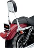 Sissy Bars for Harley-Davidson - Standard Sissy Bar