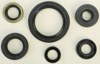 Oil Seal Kit