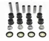 Bronco Rear Independent Suspension Bushing Kit for ATV