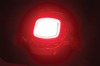 Tracer LED Taillight Red Lens Without License Light