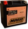 AGM Maintenance Free Battery - Replaces GYZ16H