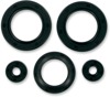 Oil Seal Kit - Fits Polaris 400L, Big Boss, Scrambler & more (90-03)