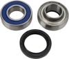 Jackshaft Bearing Seal Kit - Drive Jackshaft Bearng Seal