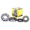 Crankshaft Bearing & Seal Kit