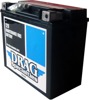 AGM Maintenance Free Battery w/ Flush Terminals 320CCA 12V 18Ah - Replaces YTX20HL-BS