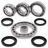 Rear Differential Bearing & Seal Kit - For 2001 Suzuki LTA500